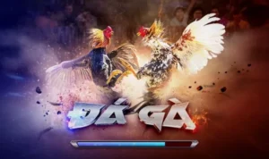 Đá Gà 3D Tại ANO88