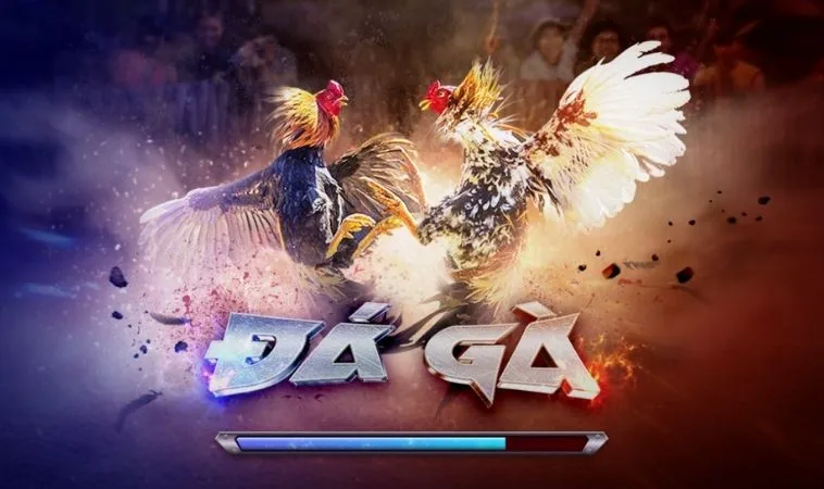 Đá Gà 3D Tại ANO88