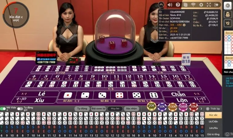 Bàn cược Tài Xỉu ANO88