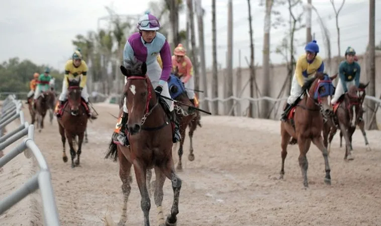 Cần tìm hiểu về bộ môn đua ngựa ANO88 trước khi cá cược